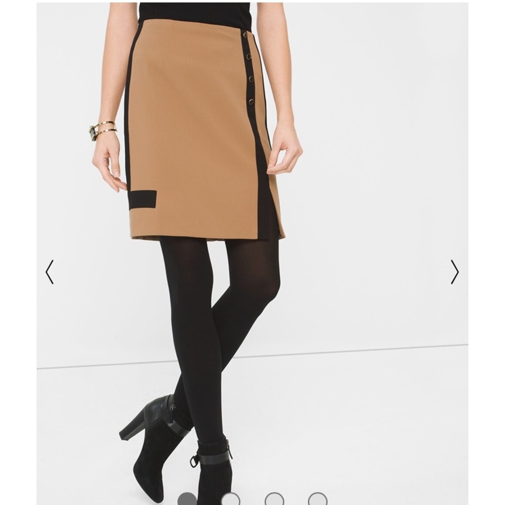 WHBM COLORBLOCK SKIRT